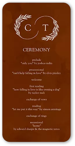 Reflective Rings Wedding Program